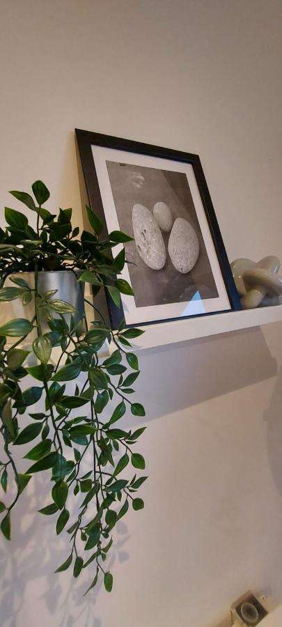 Apartment Chavasse L15dx *